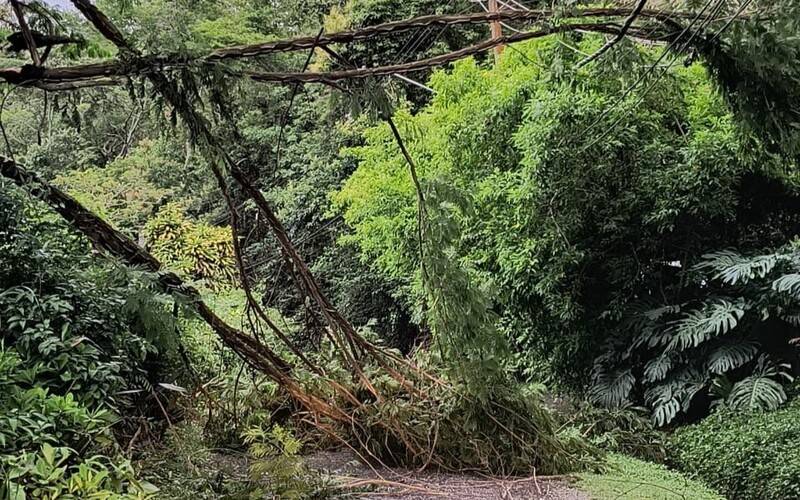 Cidade registra 24 ocorrências após ventos fortes na madrugada de quarta-feira