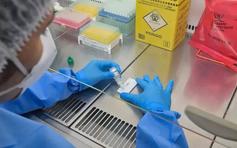 Novo teste faz diagnóstico de hantavirose em 20 minutos