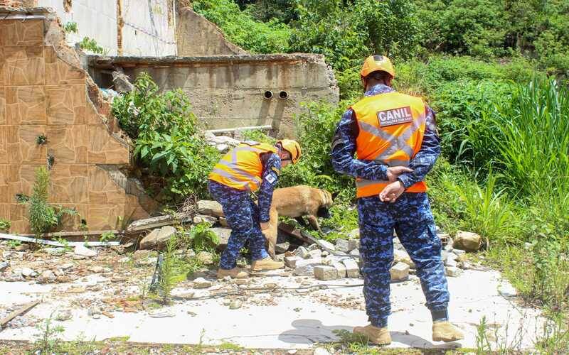 Guarda Civil treina cão para salvamento em escombros