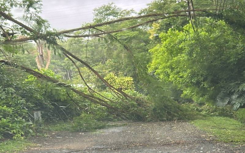 Justiça ordena que Enel reestabeleça energia elétrica em 72 horas nas localidades afet