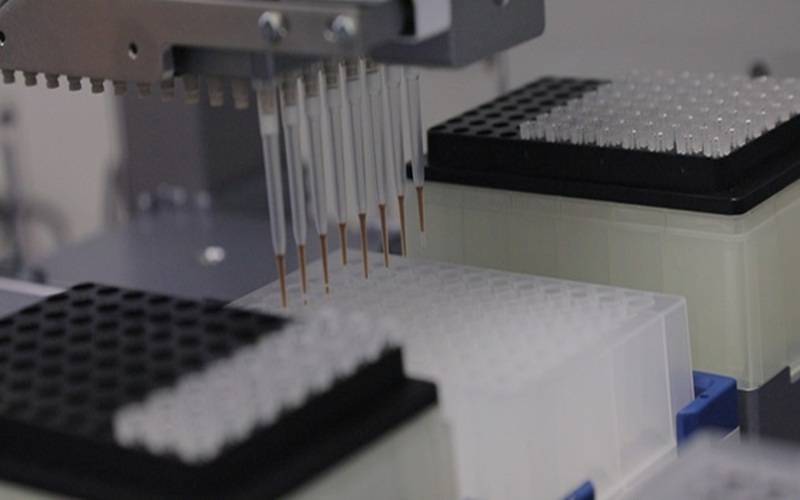 Linhagem do influenza A (H3N2) é identificada pela primeira vez no Brasil