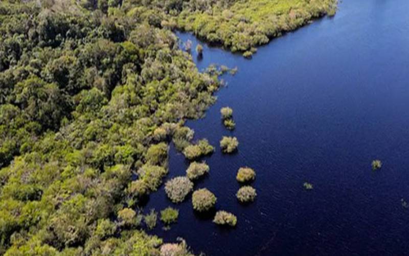 Fundo Amazônia aprova R$ 2 bi em 2025 para avançar em meta de desmatamento zero