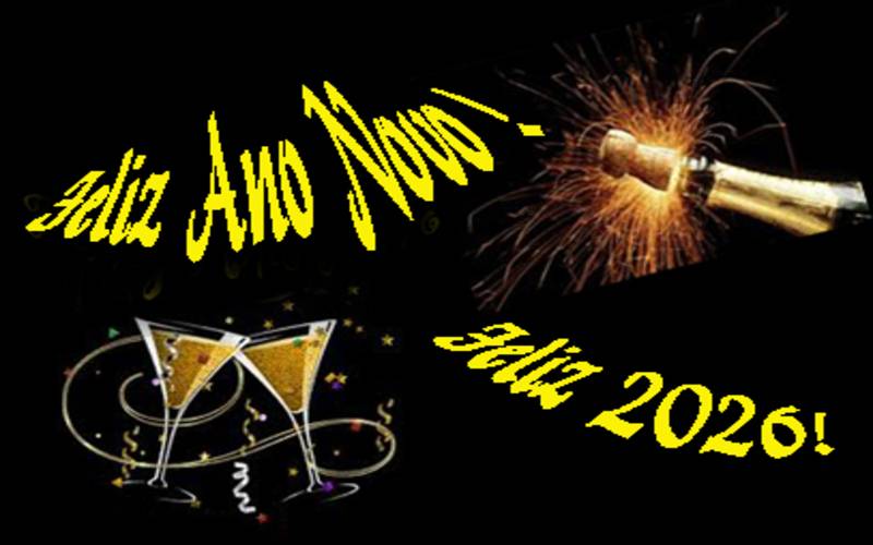  (foto 6 - Feliz Ano Novo)