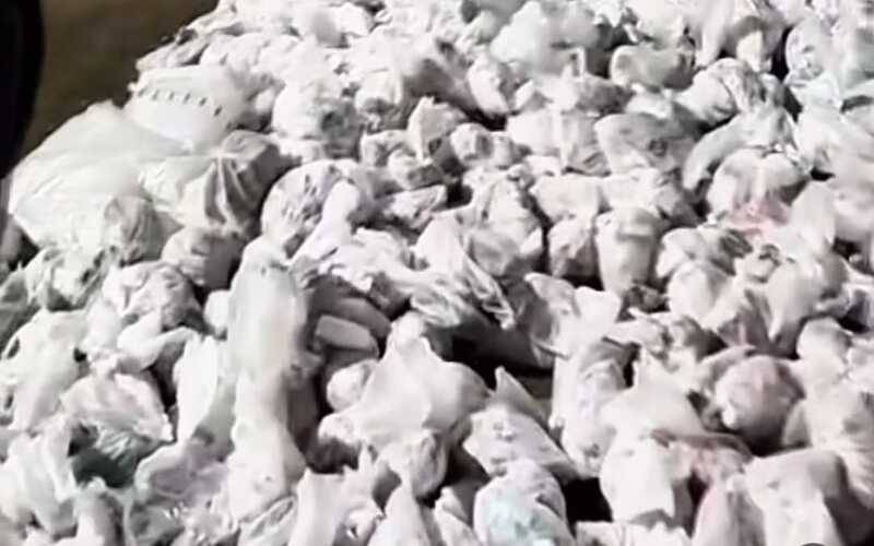 PM realiza a maior apreensão no ano: prejuízo de R$ 400 mil ao tráfico