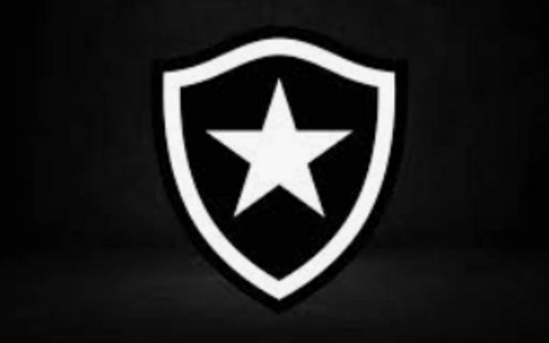 Botafogo anuncia contratação do técnico Martín Anselmi