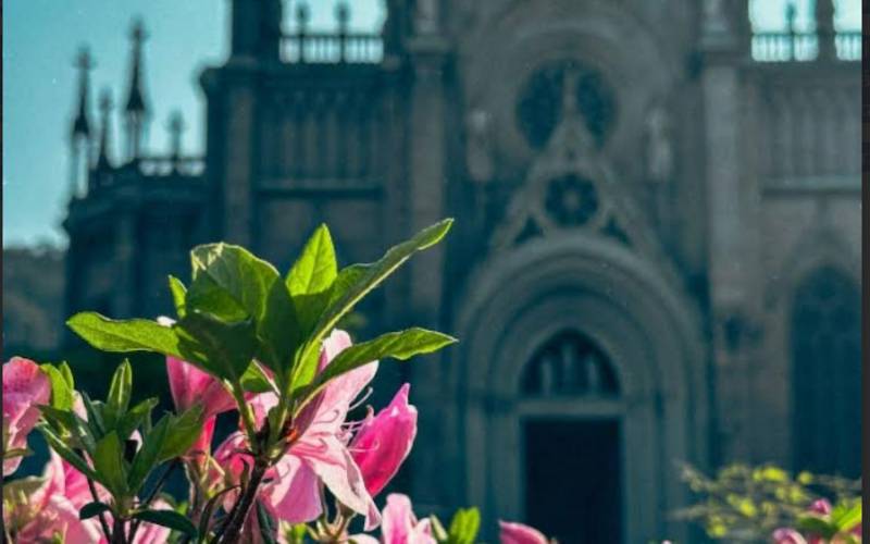 Foto: Giovani Garcia/ Serra Petrópolis