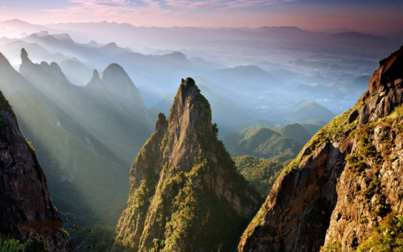 Parque Nacional da Serra dos Órgãos (RJ) concentra a maior riqueza de flora entre área