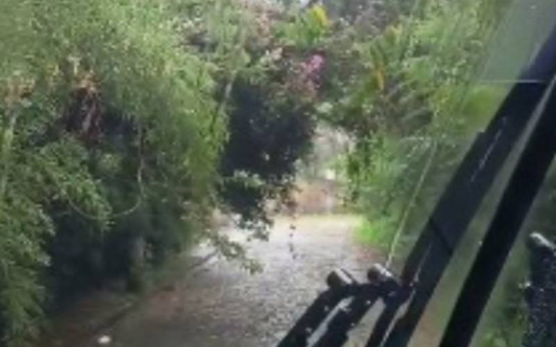   Chuva: queda de árvore no Caxambu impacta operação do ônibus