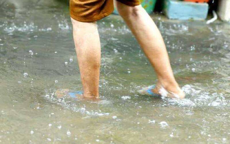 Onze mortes por leptospirose em dez anos na cidade