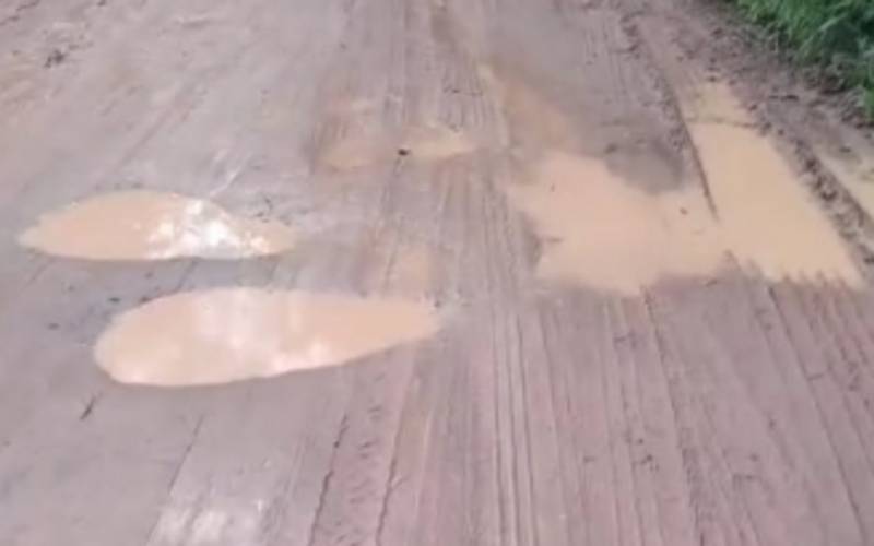 Posse: lama interrompe operação do ônibus por 8 quilômetros no Abertos