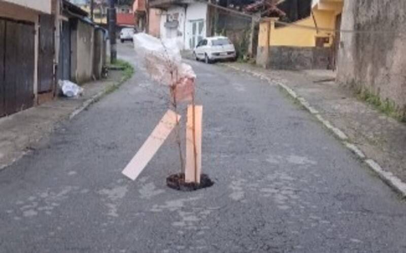 Três linhas de ônibus foram impactadas pelas chuvas em Petrópolis