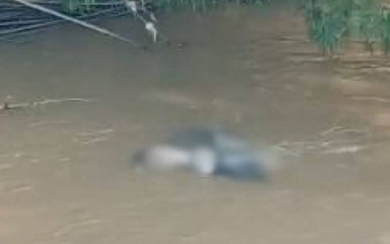 Corpo de homem é encontrado no Rio Piabanha