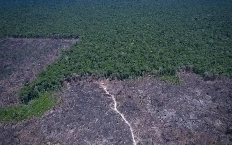Amazônia Legal: desmatamento prevalece em torno de áreas protegidas