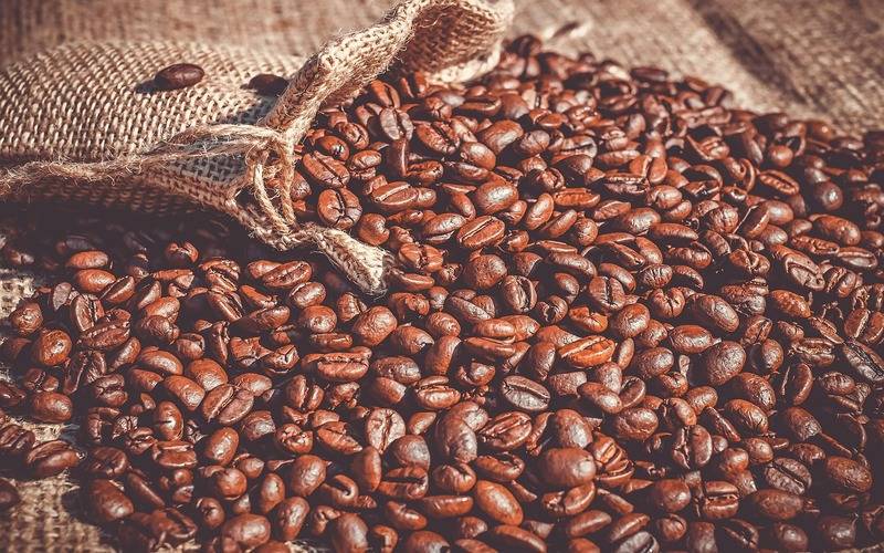 Conab prevê colheita recorde de café com crescimento de 17,1% em 2026