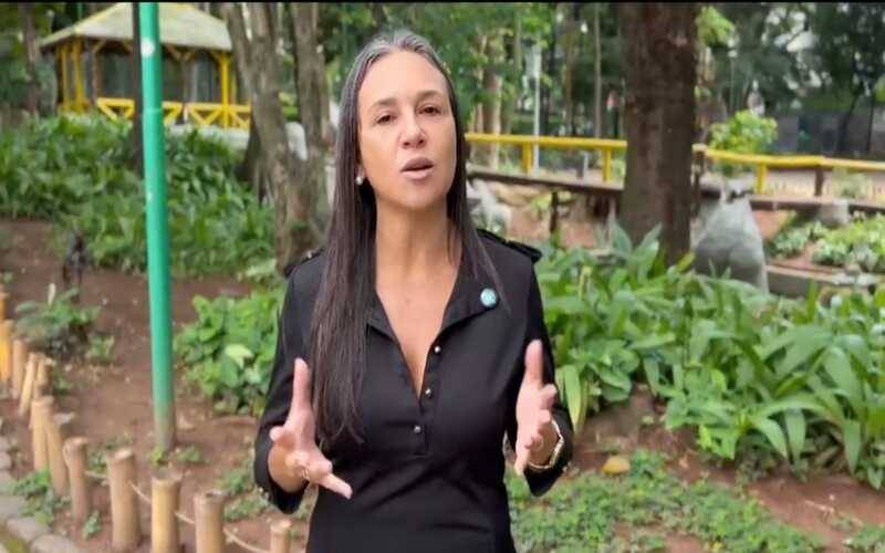 Aluguel de imóveis no Carnaval exige atenção redobrada para evitar golpes