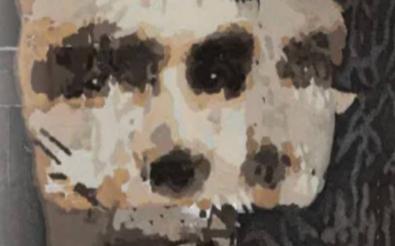 Pesquisador do LNCC analisa como a inteligência artificial de hoje é moldada pelos deb