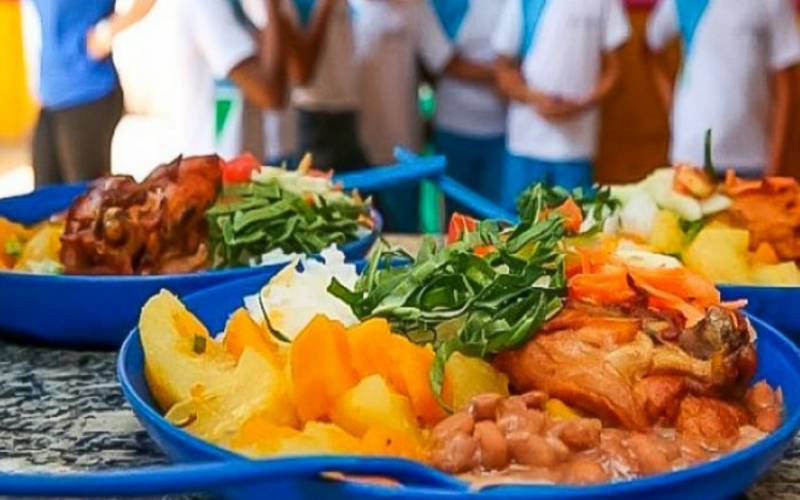 Congelar verba para merenda entre 2017 e 2022 foi catastrófico, diz presidenta do FNDE