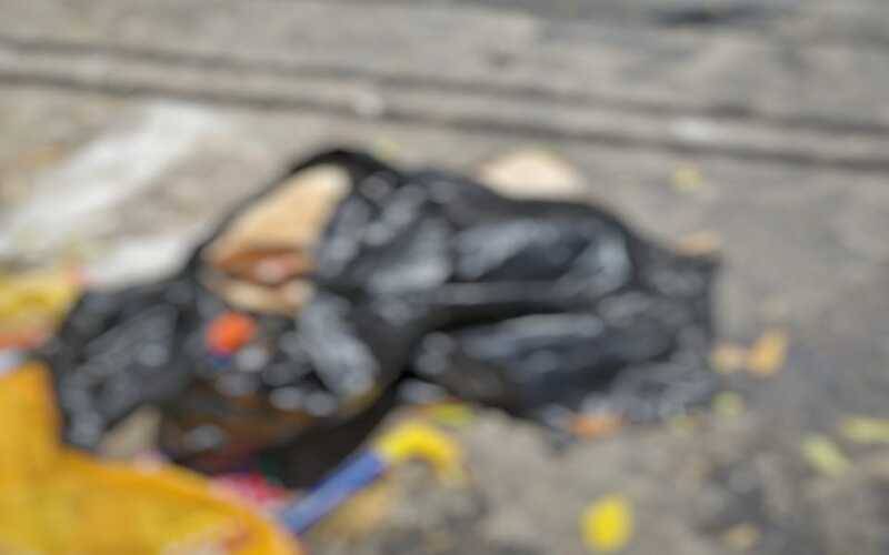 Dois cães são encontrados mortos na Estrada da Saudade