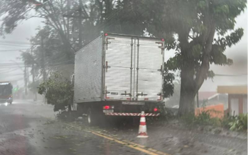 Diversos pontos de alagamento são registrados em Petrópolis: árvore atinge caminhão em