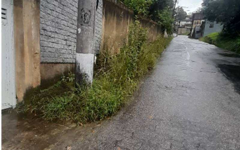 Mato alto na Mosela impede uso de calçadas e preocupa moradores