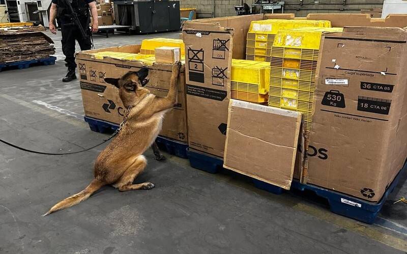 Receita Federal apreende encomendas com drogas e celulares furtados em operação nos Co