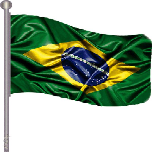 (foto 4 Bandeira do Brasil)