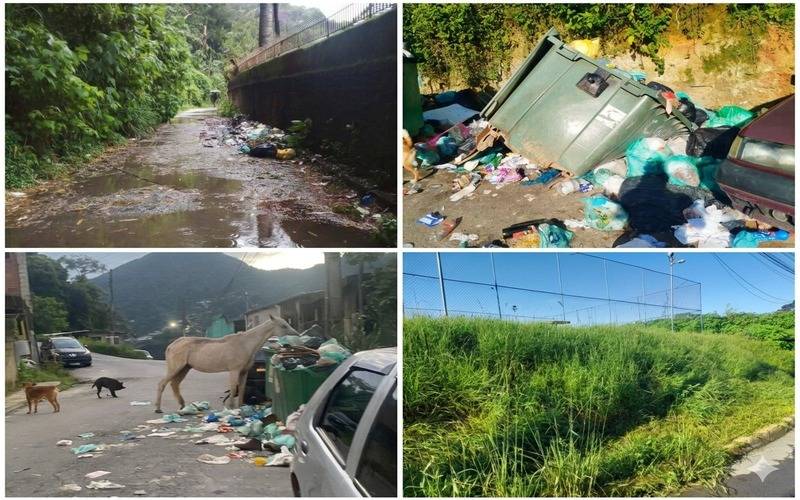 Falhas na coleta de lixo e falta de capina agravam problemas em diversos pontos da cid