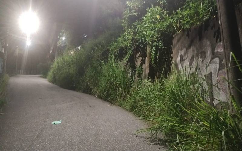 Matagal nas calçadas incomoda o dia a dia dos moradores do Gulf