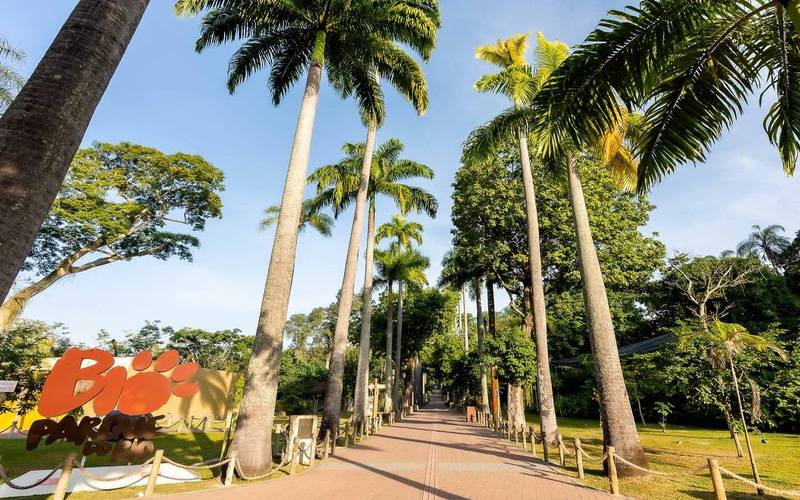 BioParque do Rio celebra cinco anos com entrada gratuita para aniversariantes de março