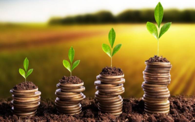 Crédito rural empresarial cresce 7% e totaliza R$ 354,4 bilhões no Plano Safra