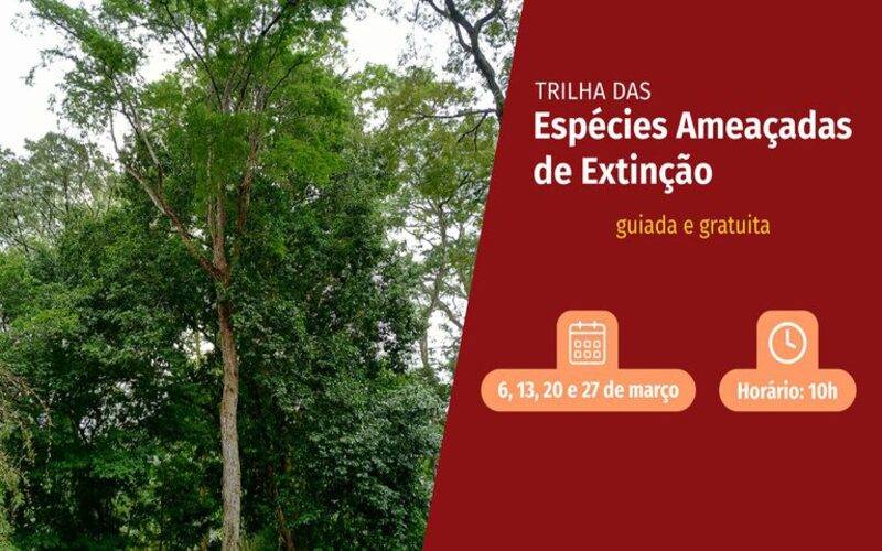 Espécies ameaçadas de extinção são tema de trilha guiada no Jardim Botânico do Rio