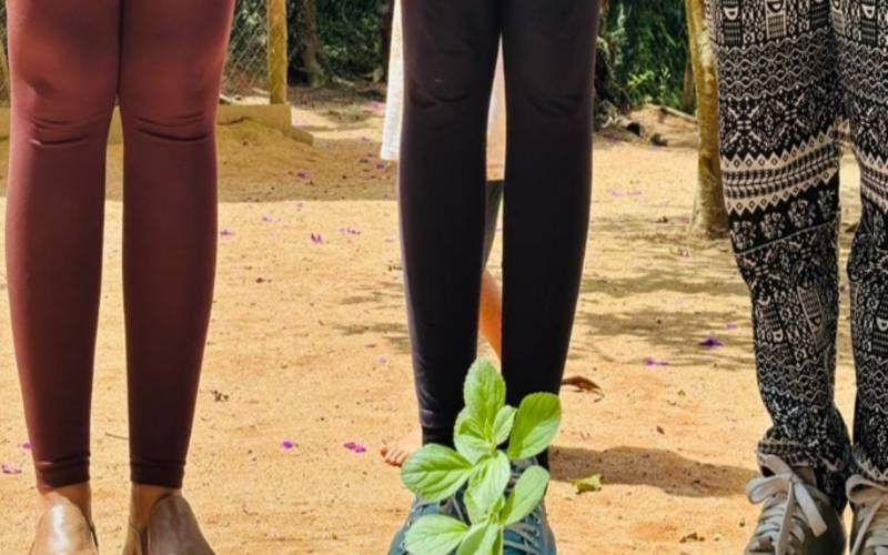 Círculo de Mulheres “O despertar do sentir”, aberto ao público feminino, acontece aman