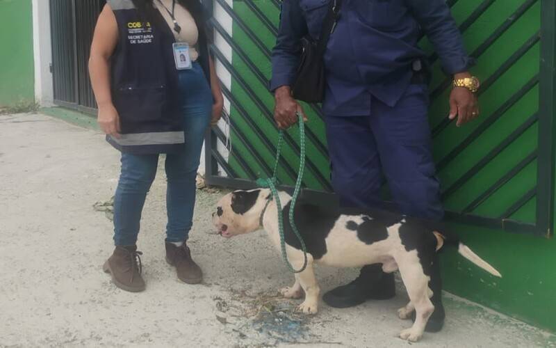 Petrópolis registrou 1,6 mil denúncias de crimes ambientais desde 2024