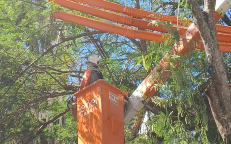 Enel Rio reforça ações preventivas e realiza mais de 1,2 milhão de podas em 2 anos