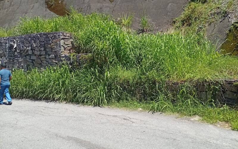 Há quatro meses, Atílio Marotti não vê capina no bairro