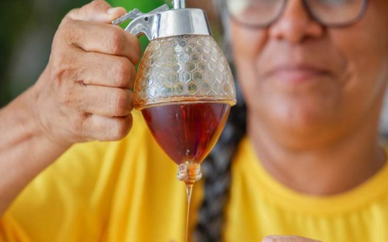 Produção de mel impulsiona desenvolvimento regional e agricultura familiar