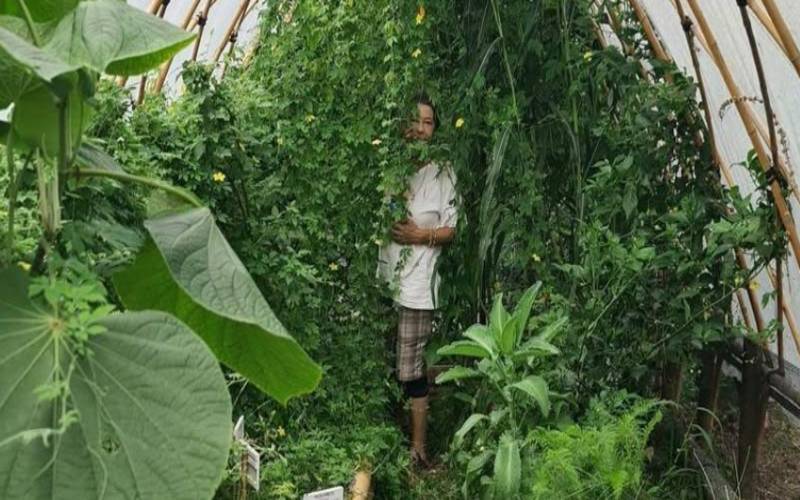 Feira Cores e Sabores promove edição especial do Mês da Mulher no Vale das Videiras