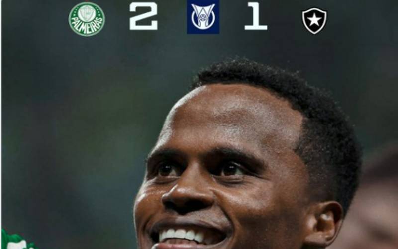Palmeiras derrota Botafogo e assume liderança do Campeonato Brasileiro