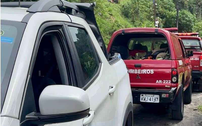 Cobea e Corpo de Bombeiros resgatam cães que atacaram cavalo no Quitandinha