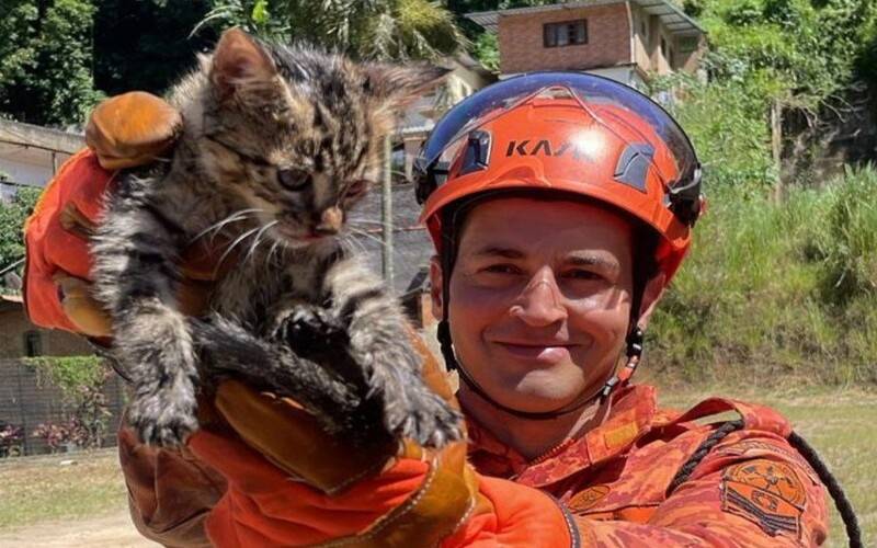 Gato fica preso em tubulação e é resgatado pelos Bombeiros Militares de Petrópolis