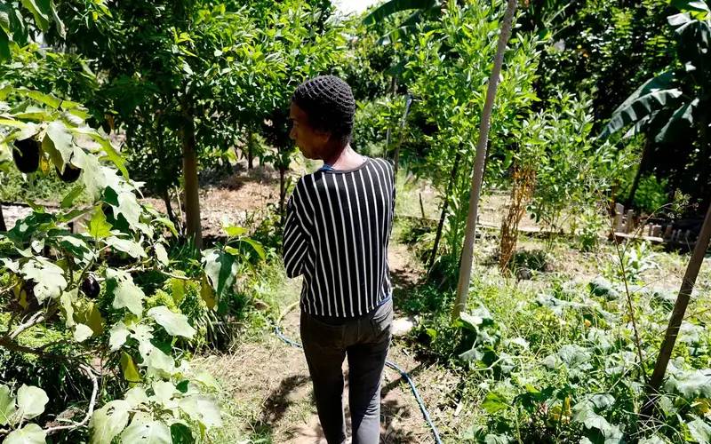 Horta comunitária reúne memória, cuidado e cidadania em favela do Rio
