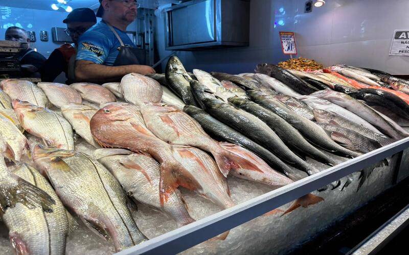 Governo do Estado reforça segurança no consumo de pescado na Páscoa