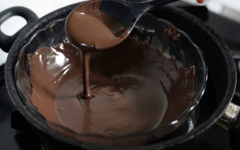 Foto: Tácio Melo/Instituto Mamirauá