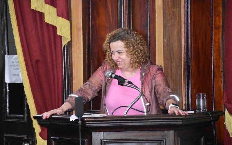 Projeto de lei propõe campanha permanente de orientação sobre acidentes com animais pe