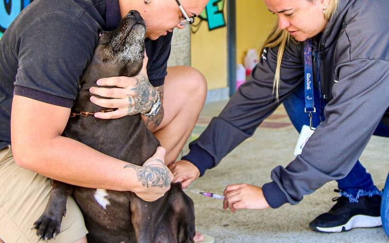 Foto: Divulgação PMP