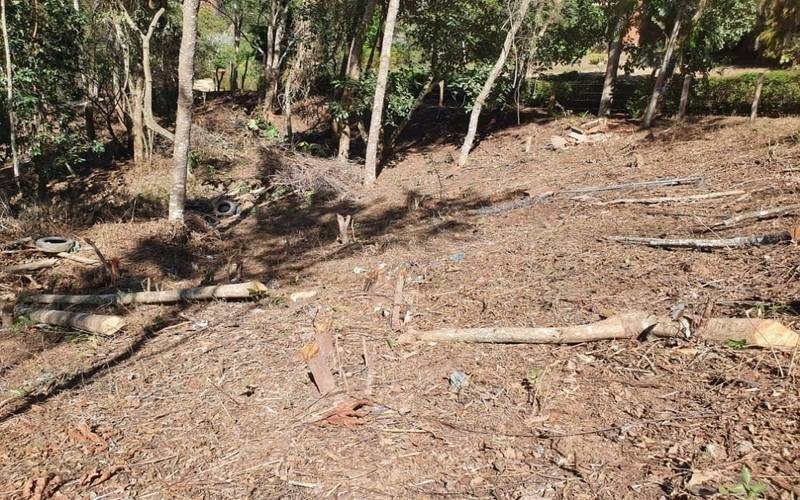 Petrópolis registrou 277 denúncias de crimes ambientais este ano