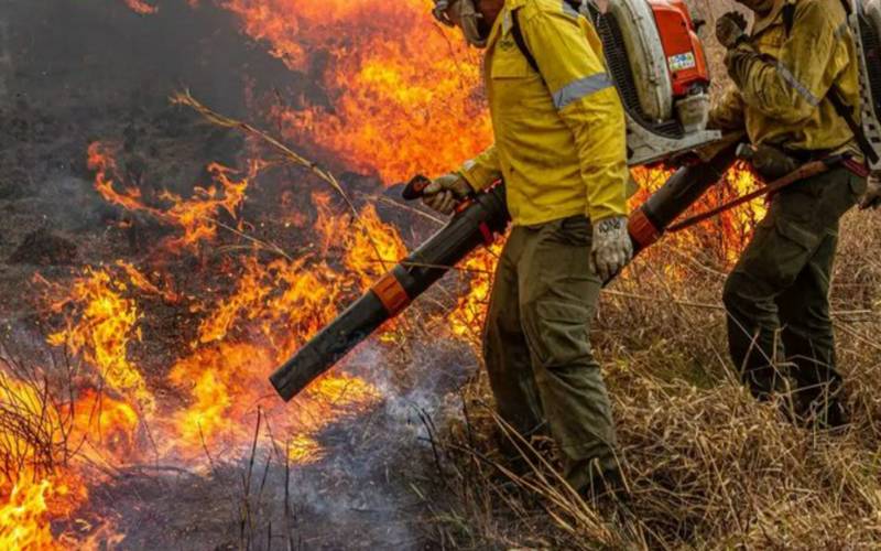 Mayandi Inzaulgarat/ICMBio