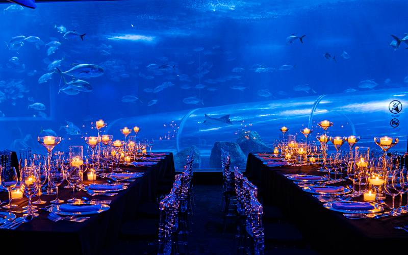 AquaRio apresenta jantar imersivo no maior aquário marinho da América do Sul