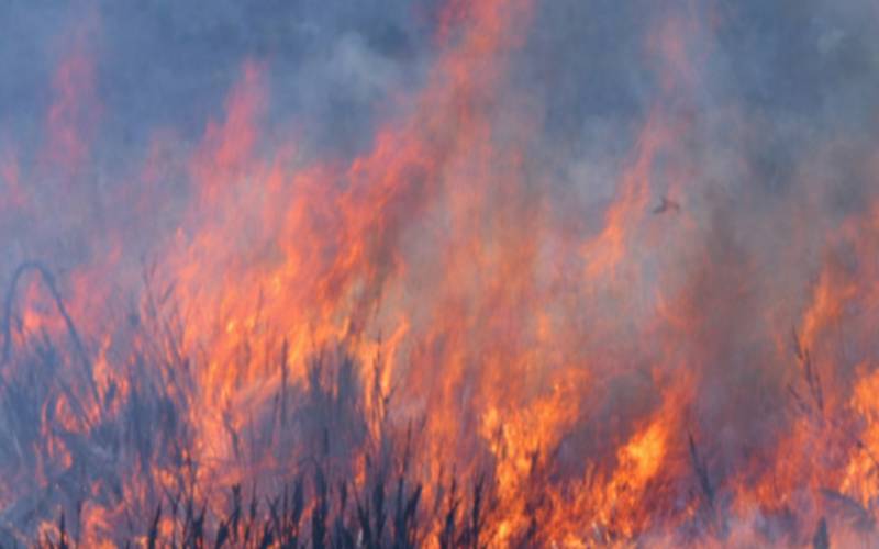 Incêndio de grandes proporções atinge o Morro do Açu