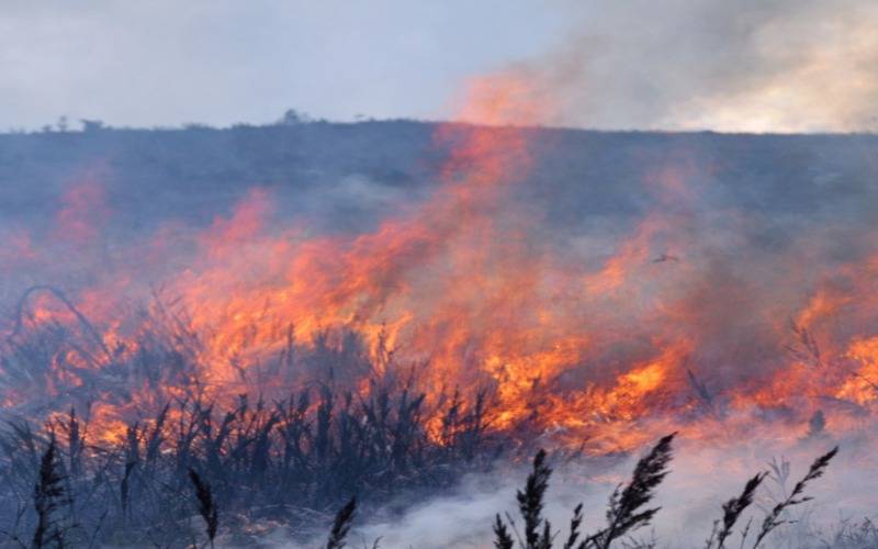 Incêndio de grandes proporções atinge o Morro do Açu